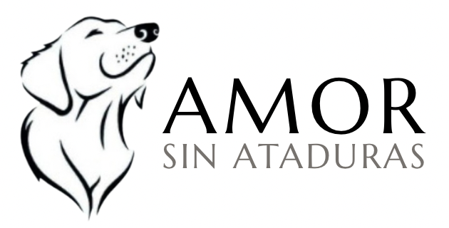 Amor Sin Ataduras