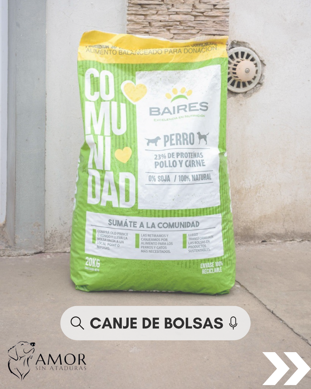 Canje Bolsas 1