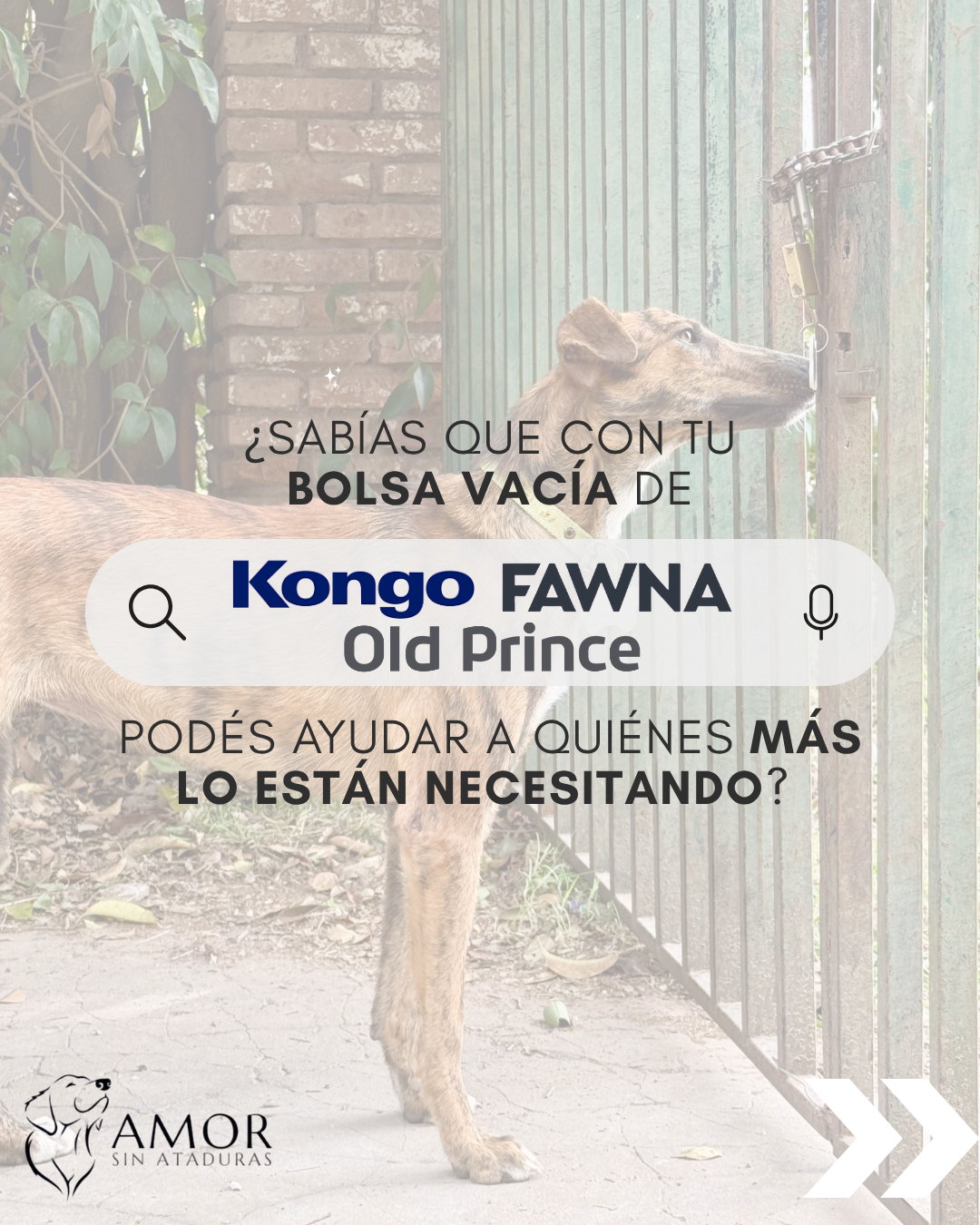 Canje Bolsas 2