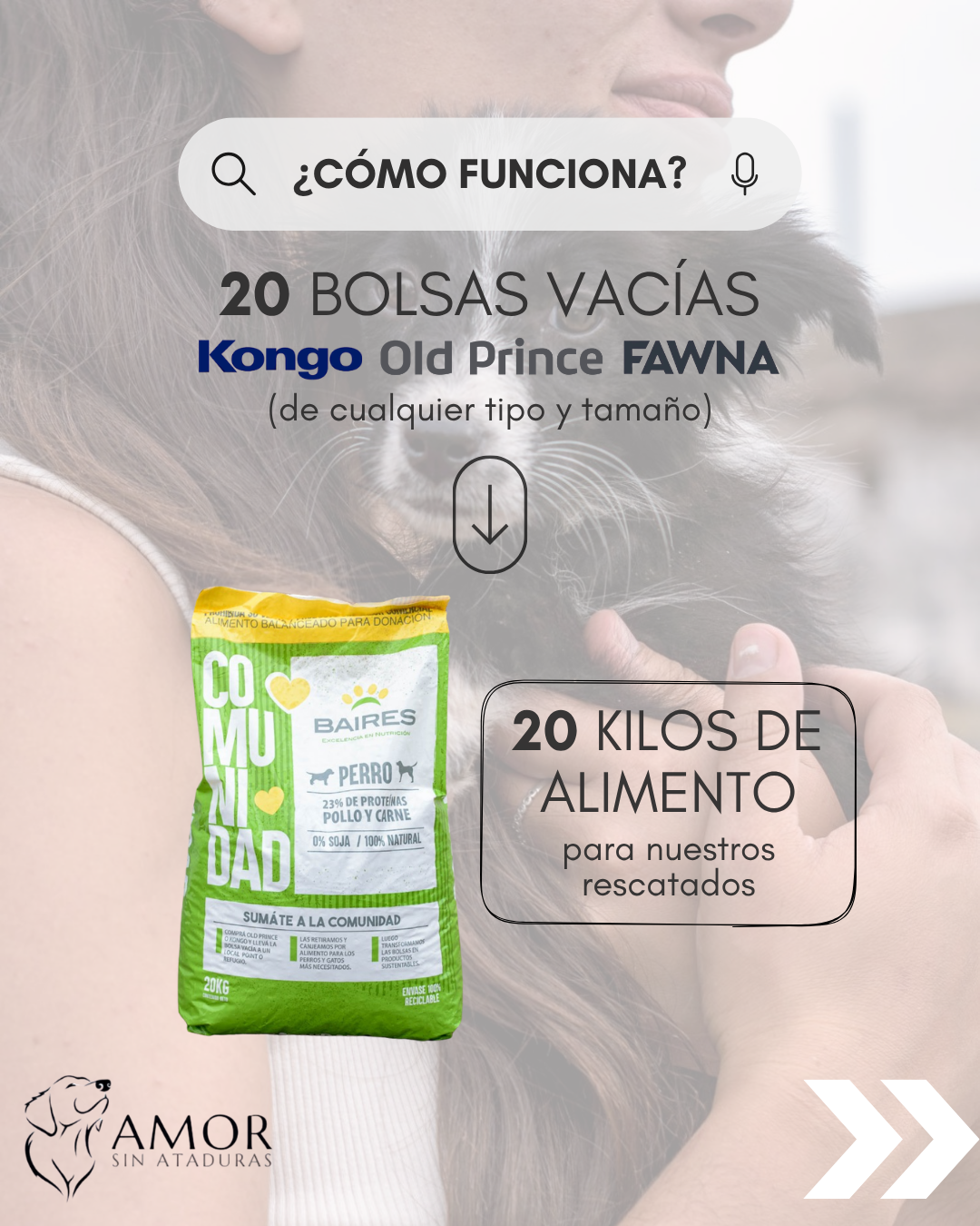Canje Bolsas 3