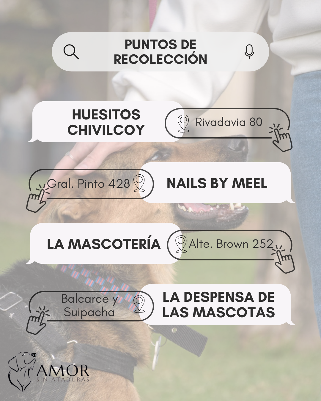 Canje Bolsas 4
