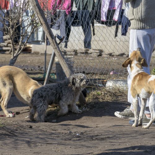 _DSC0971