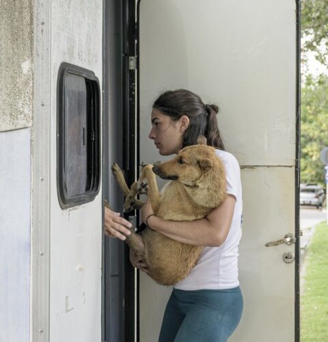 _DSC0021 (Pequeño)