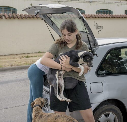 _DSC0025 (Pequeño)