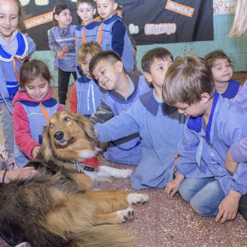 _DSC0056 (4)