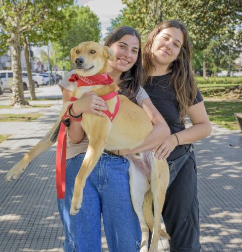 _DSC0108 (5) (Pequeño)