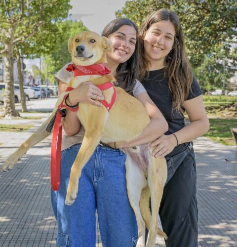 _DSC0109 (4) (Pequeño)