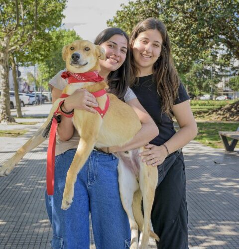 _DSC0110 (4) (Pequeño)