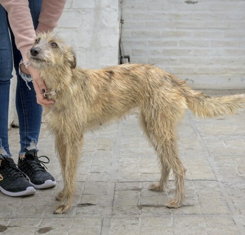 _DSC0161 (Pequeño)