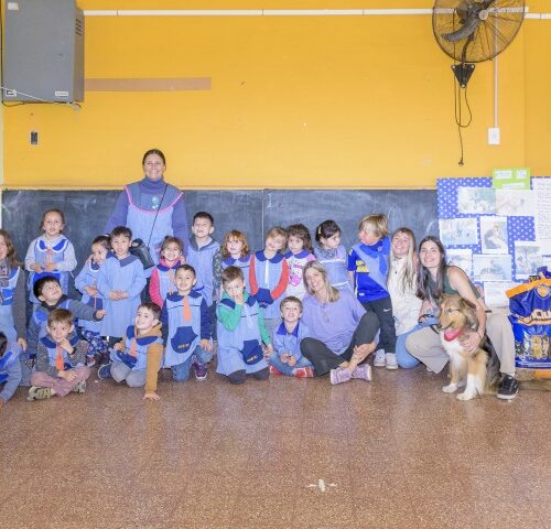 _DSC0172 (2) (Pequeño)