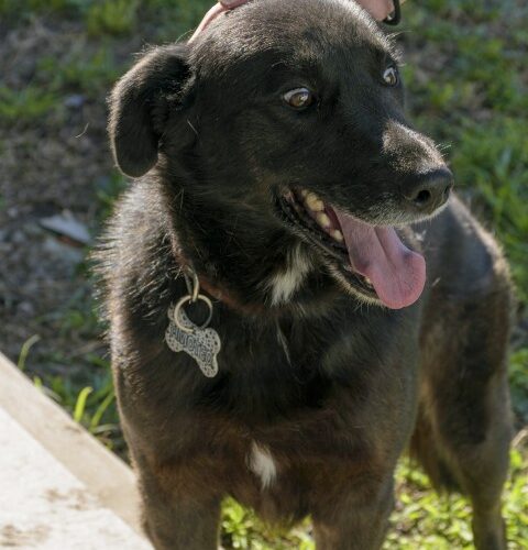 _DSC0188 (Pequeño)