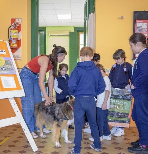 _DSC0316 (Pequeño)