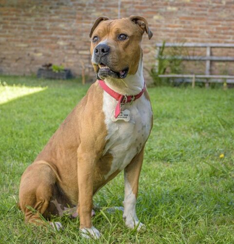 _DSC0411 (Pequeño)