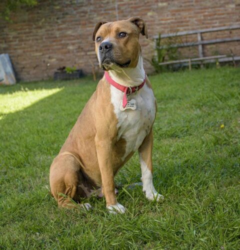 _DSC0412 (Pequeño)