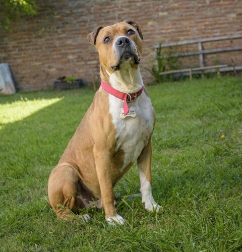 _DSC0413 (Pequeño)