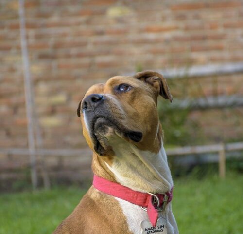 _DSC0416 (Pequeño)
