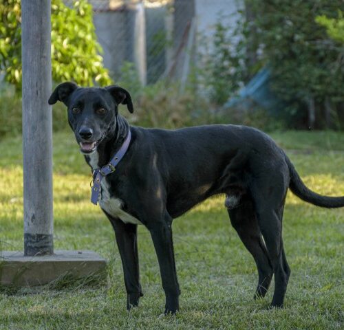 _DSC0559 (Pequeño)