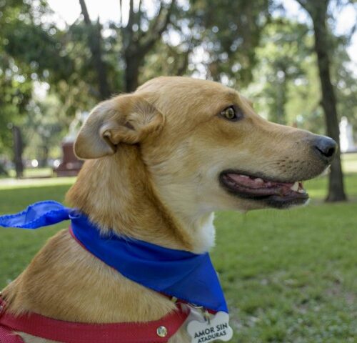 _DSC0759 (Pequeño)