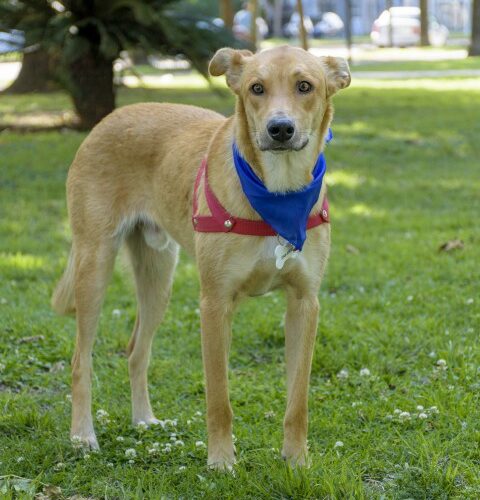 _DSC0766 (Pequeño)